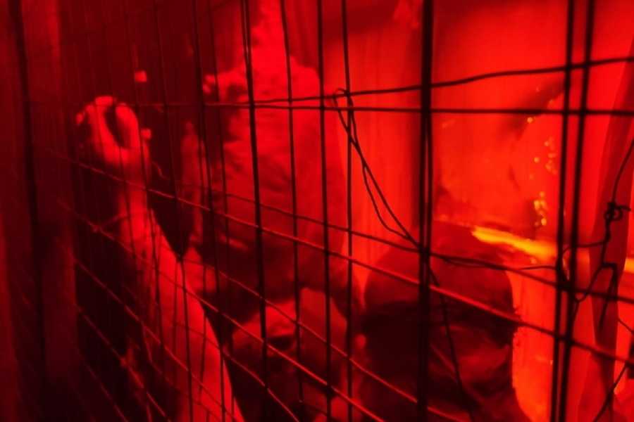 Квест в реальности Silent Hill от компании Shock-Quest Квест в реальности Silent Hill от компании Shock-Quest