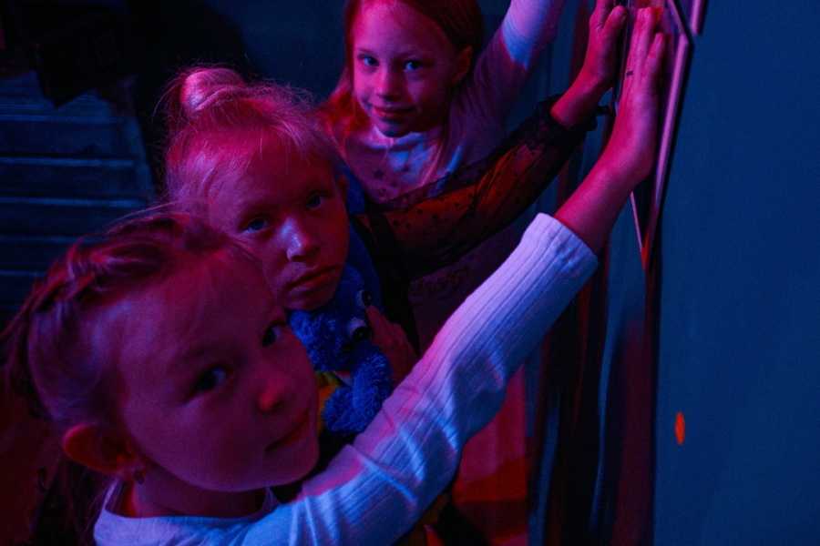 Квест в реальности В поисках Беззубика от компании Многоквест Квест в реальности В поисках Беззубика от компании Многоквест